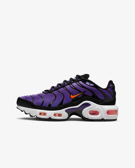 Air Max plus TN