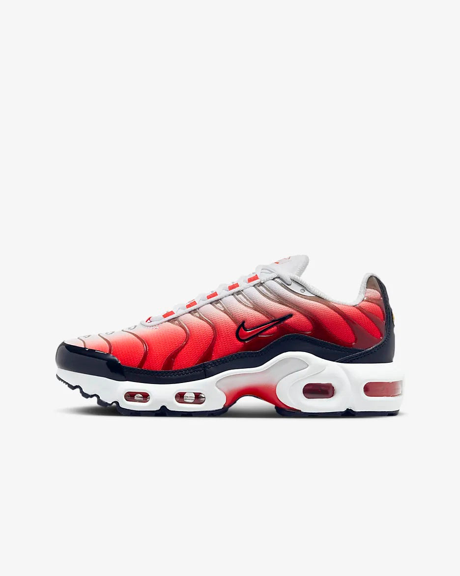 Air Max plus TN