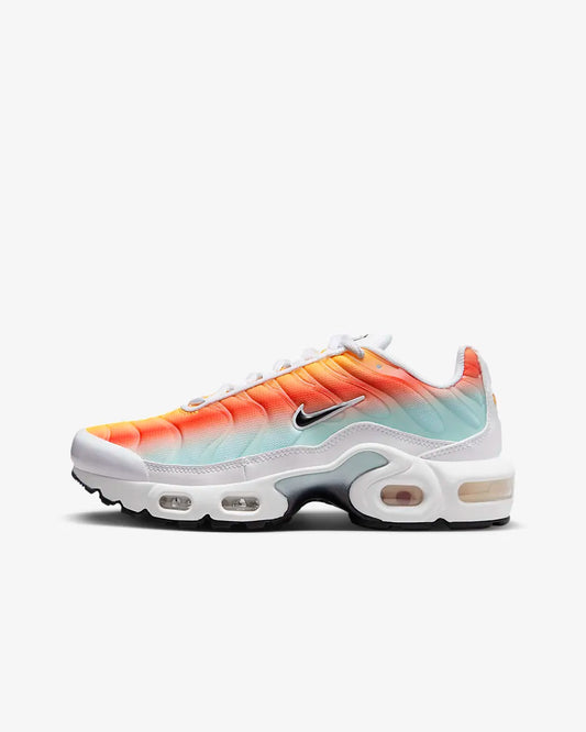 Air Max plus TN